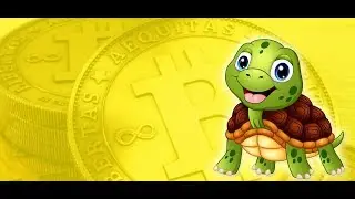 Turtle Coin Moon or Pump & Dump ?( Important NEWS )