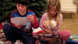 Kids Getting a New Puppy on Christmas