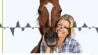 #81 Social-Media-Star Annica Hansen: Mit viel Ponyliebe zum Erfolg - wehorse Podcast