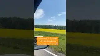 Помогли маме и домой 🥰 #лето25 #дача #домуозера #умамынадаче