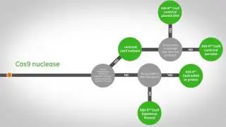 GE RNA Selection Guide_7198