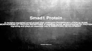 Medical vocabulary: What does Smad1 Protein mean