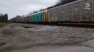 I Train Words!