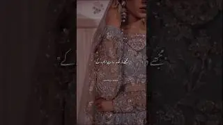 Uff this Novel 🌙&hearts;️#shortsfeed #shortnovel #novel #novellines #novellover #foryou #trending #urdubook