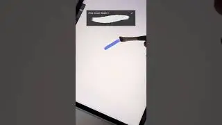 Physical Paint Brush for Procreate?