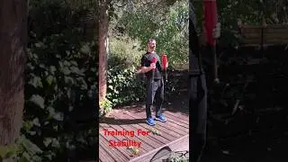 Stability 101 #baseball #personaltrainer #strength #stabilitytraining #reels #shorts #viralvideo