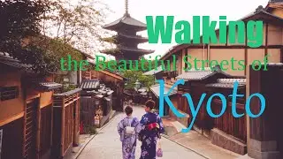 Japan 🇯🇵 | Walking the Beautiful Streets of Kyoto | Travel Vlog
