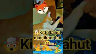 #trending #catlovers #cute #cute #cutecat #cat #viral #viralshort #vlog #ytshorts #cartoon #shots