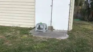 Shooting a BB gun at expired jello