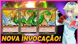 MAXIMUM SUMMON! TUDO O QUE VOC&Ecirc; PRECISA SABER  SOBRE ELA! YU-GI-OH! DUEL LINKS