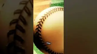 The Fast Paced History of Sports!