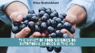 EP: 4 The Impact of Food Subsidies on Nutritional Choices in the USA