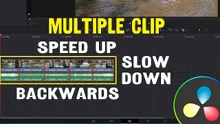 How to Batch Speed Up, Slow Down, and Reverse Multiple Clips in DaVinci Resolve