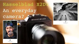 Можно ли использовать Hasselblad X2D как камеру-компаньон? Да. #фотография #hasselblad