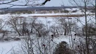 Deer ridge golf course viewed from Vilson park heights in Kitchener Ontario Canada.