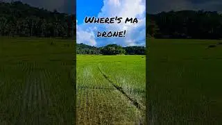 #drone #fly #rice #field #vlog #travel #philippines #share #shorts #bohol #green #beautiful