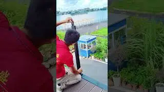 Strong Despite Elements&mdash;Durable Railings