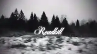 Lalleshwari (Katie Jane Garside) - Roadkill (lyrics) 