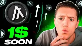 Algorand Price Prediction 2025 &ndash; This is Why ALGO is Going to EXPLODE