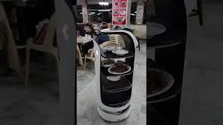 A cat-like robot waiter at your service | Otek, Good Taste. #baguiocity #wheninbaguio #goodtaste
