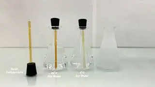 Critical Thinking Development - Equilibrium of NO2 and N2O4