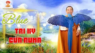 Blue - Tri Kỷ Của Ruma