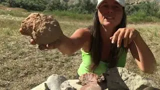 What Kind of Rock is This !?