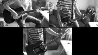 The Cranberries - Animal Instinct GUITAR COVER
