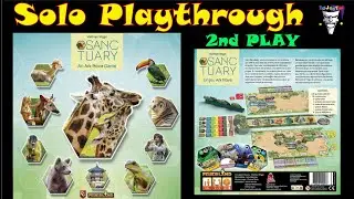 Sanctuary An Ark Nova Game Solo Playthrough With Setup and Gameplay 2nd Playthrough