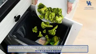 Mastering Produce Storage: Tips to Reduce Food Waste