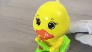 Where is Chicky ? Where Does The Chick Go ? / Baby Videos / Kids Videos