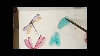 《飛舞的蜻蜓》| 