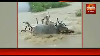 मुंबई में तबाही की वायरल वीडियो | kolapur landslide | Mumbai Landslide | heavy rainfall in mumbai