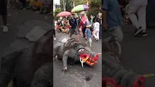 Ogoh-ogoh babi nya jalan sendiri #karnaval #17agustus #ogohogoh