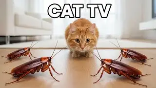 CAT TV - Scurrying Cockroach Hunt - Cat Games