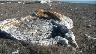 Опук археологический.