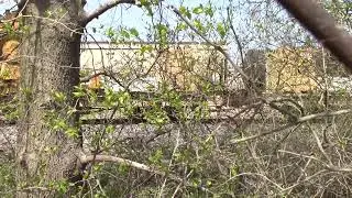 Not-so-good Shot of NS 123 Power (NS 4449, NS 9928, NS 1230) and CAT Equipment in Lafayette, Indiana