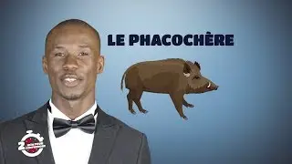 2 mn pour comprendre 
