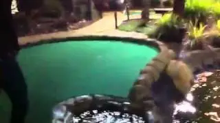 Greatest putt-putt shot of all time