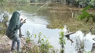 GADIS KOTA BERBURU MONSTER TOMAN DI PEDALAMAN HUTAN