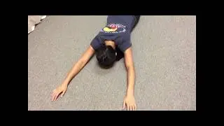 Prone T & Y Exercises