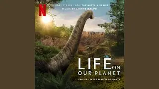 Diplodocus