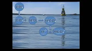 The NECAN story &ndash; Linking Ocean and Coastal Acidification science to managers, policymakers...
