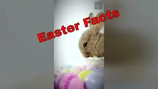 10 'Interesting History Facts You Never Heard?' - Easter