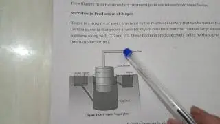 Bio gas production by Babita Mam