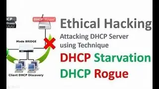 How to Hack DHCP by Starvation Attack Using DHCPig DoS in Kali Linux l #ethicalhacking #kali #wifi