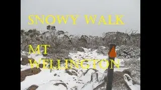 A snowy walk on Mt Wellington