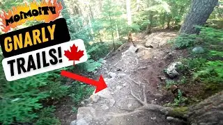 WHISTLER BLACKCOMB FIRST DAY | Jack Moir |