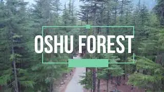 swat valley drone view 25 nov 2021 #shorts #youtube #pakistan #duckybhai #swat #kalam #bahrain #maho