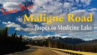 【4K】THE BREATHTAKING SCENIC DRIVE OF MALIGNE ROAD: A Must-See Day Trip in Jasper National Park